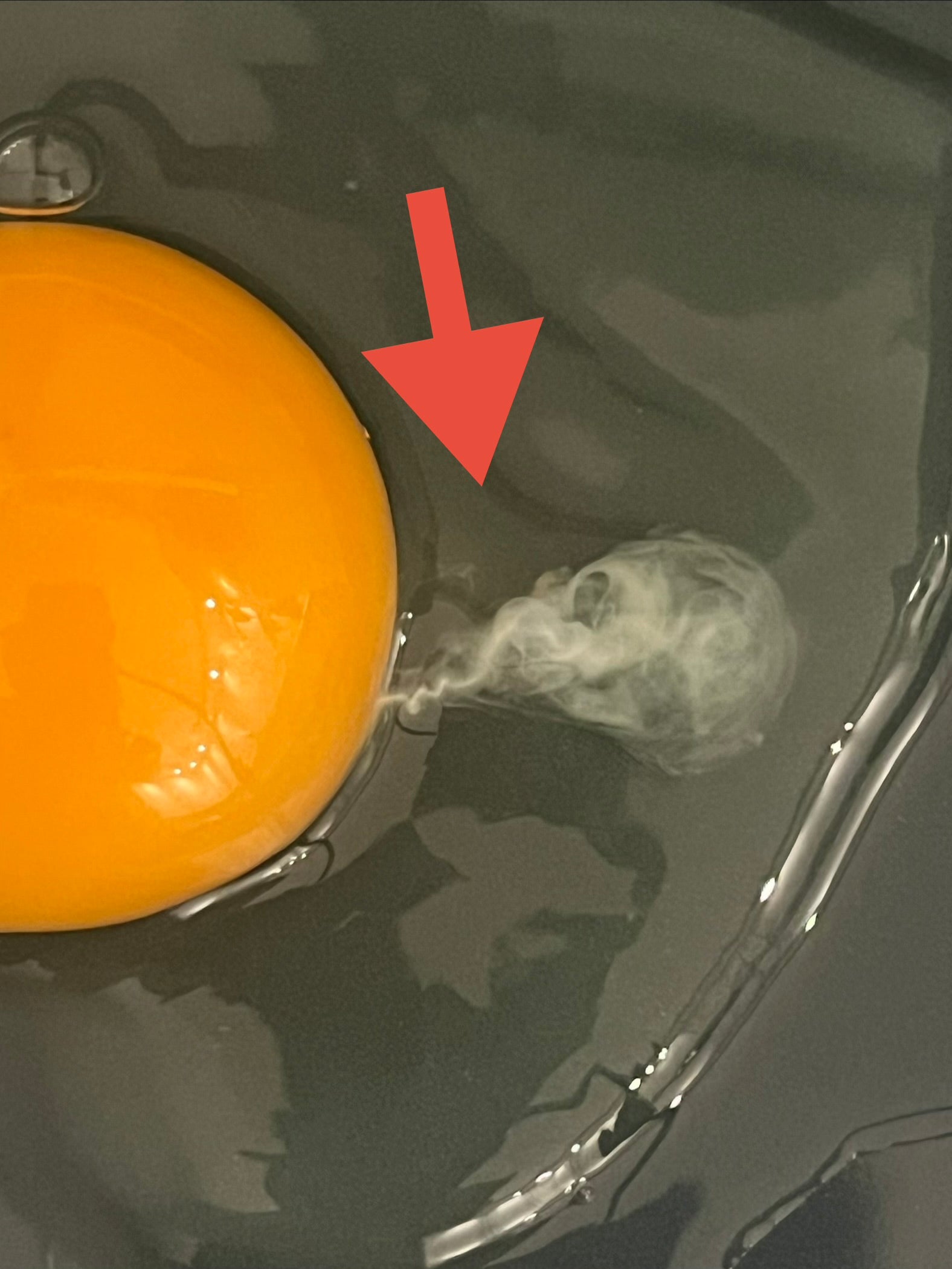 Eizange - Hagelschnur, Blutpunkt und Eierschale einfach aus dem Ei entfernen | Küchenhelfer für sauberes Eigelb